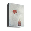 Art mural : Papaver somnifere (Mughetto)