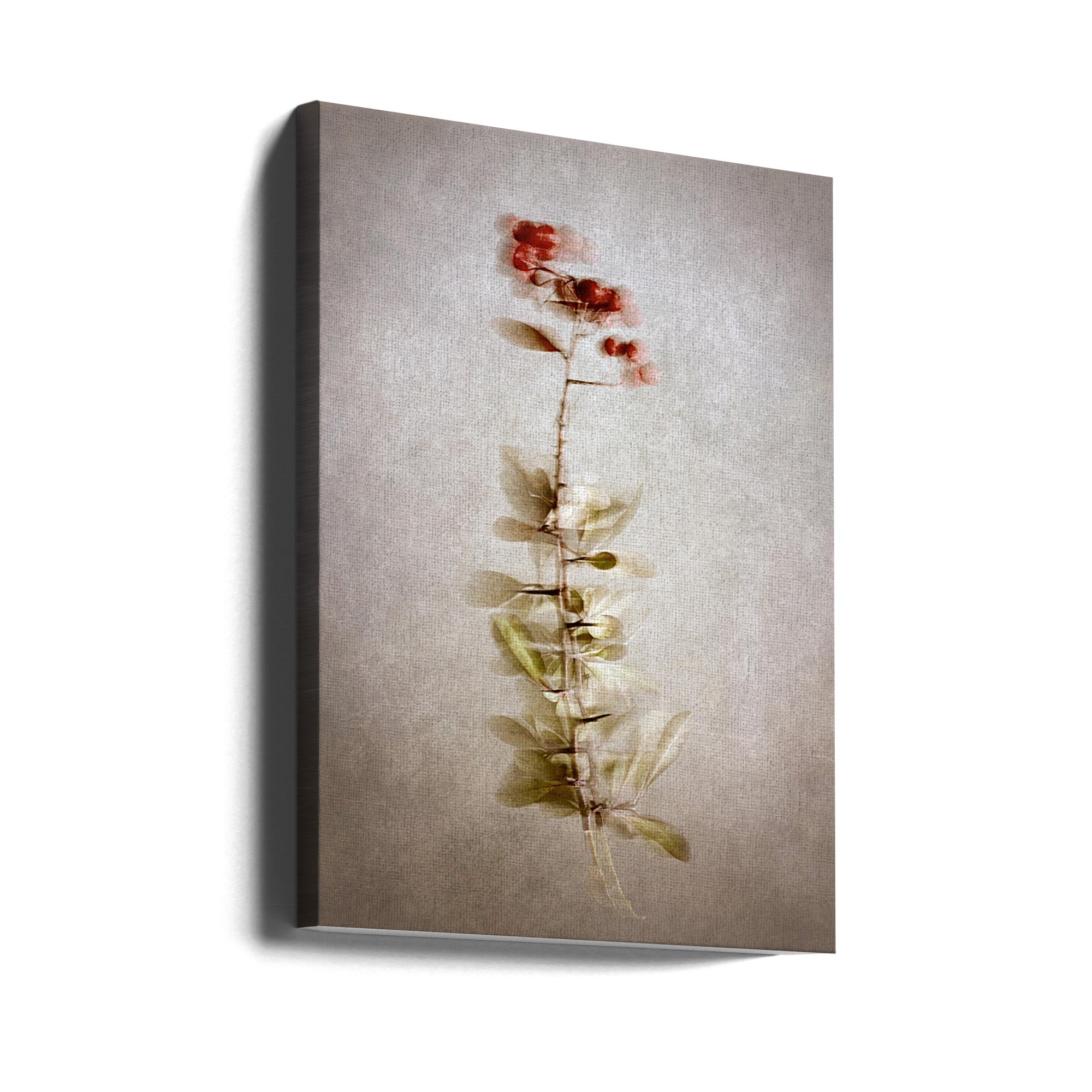 Wall Art Exposed