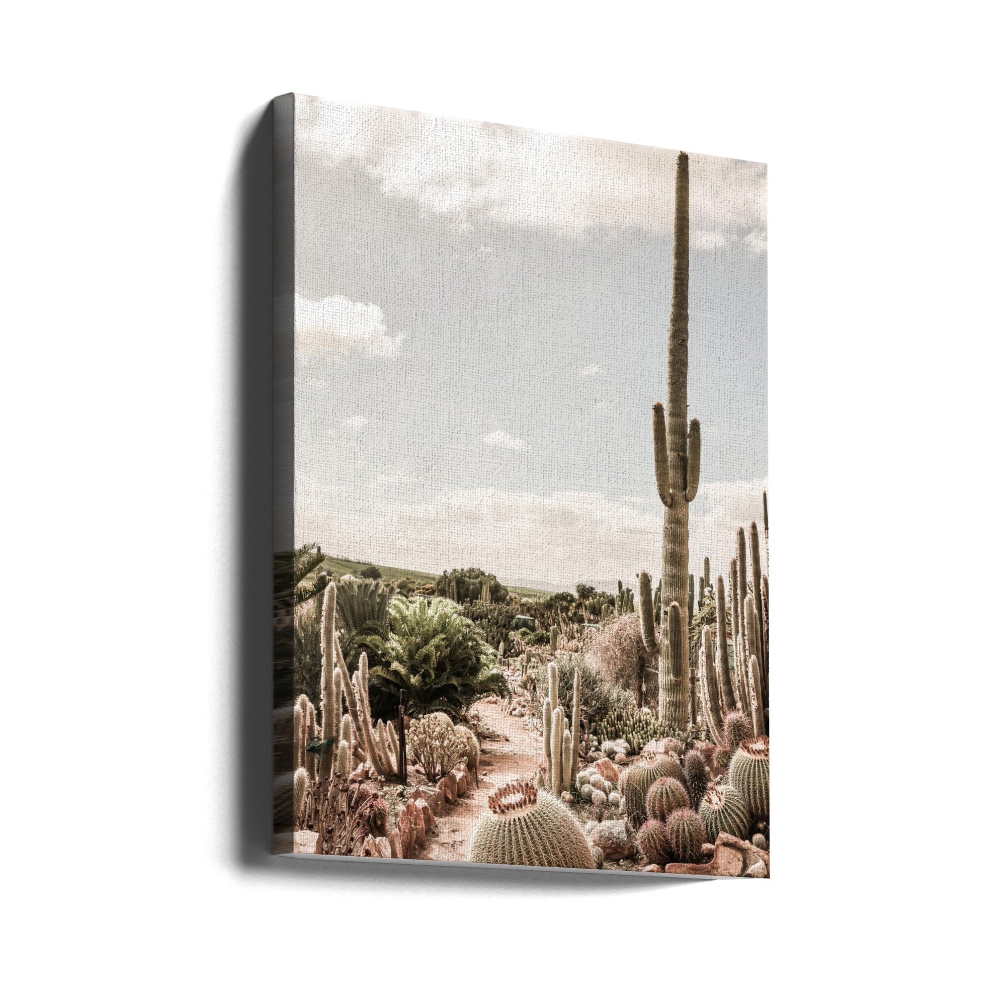 Wall art Cactus Farm