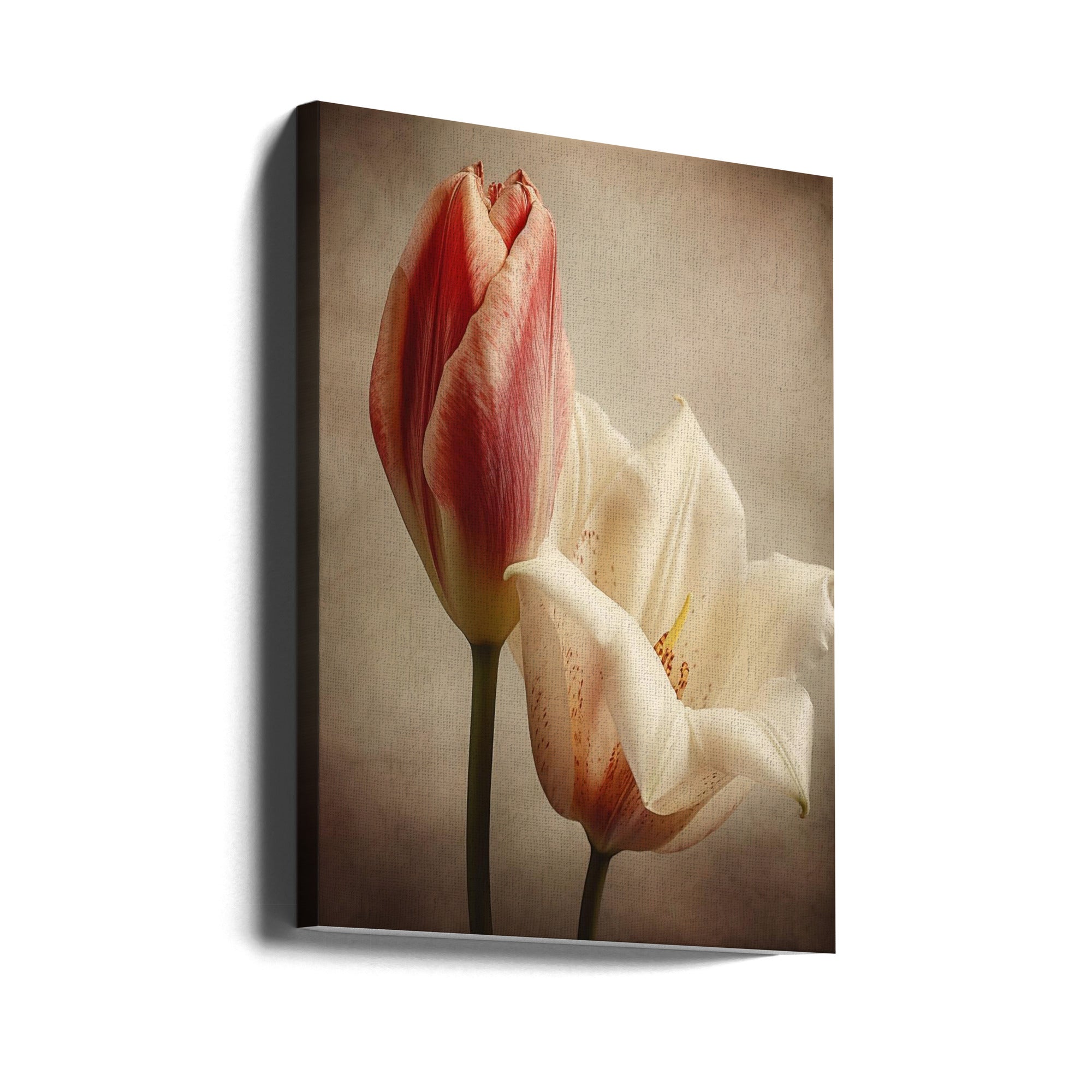 Fleurs Vintage 3