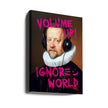 Volume Up Canvas Print
