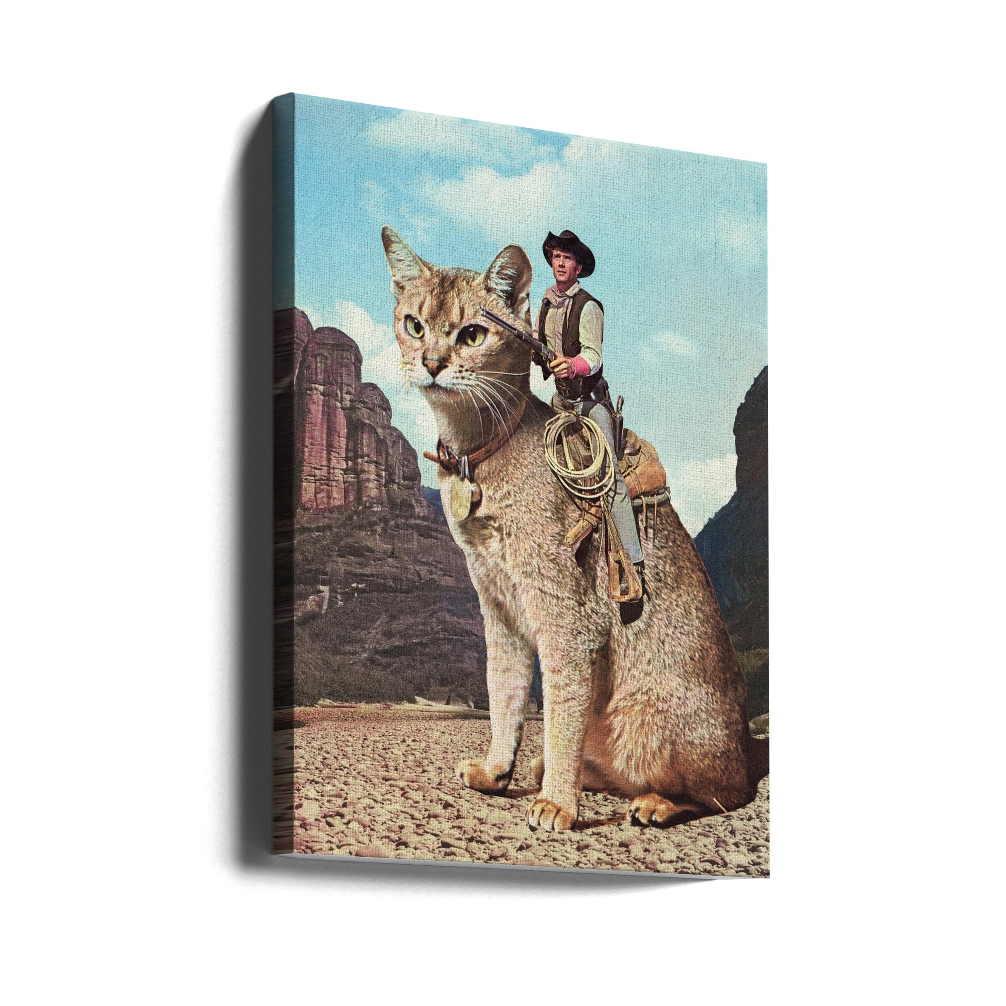 wall art Cat Lone Ranger