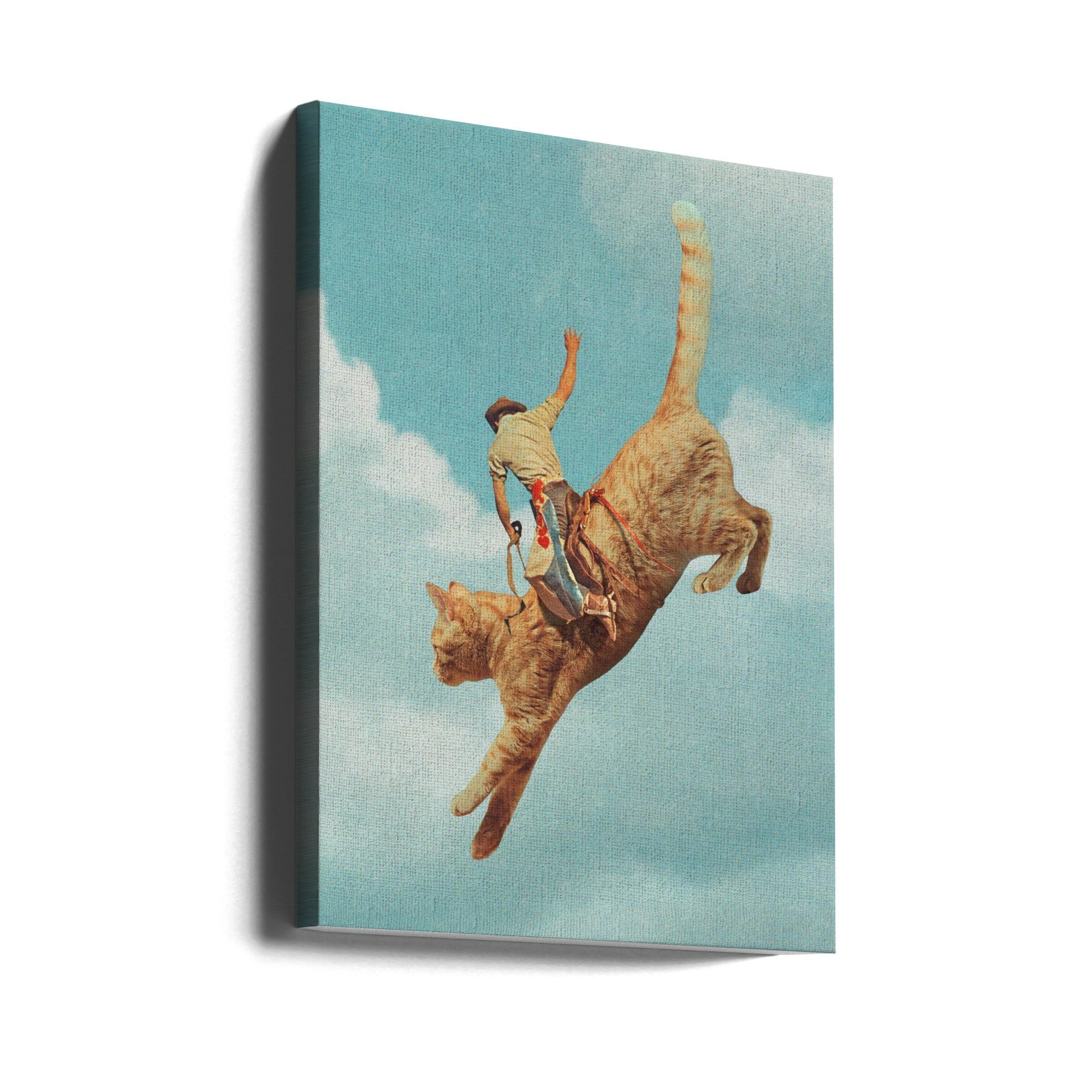Wall Art Meehaw  Rodio Cat