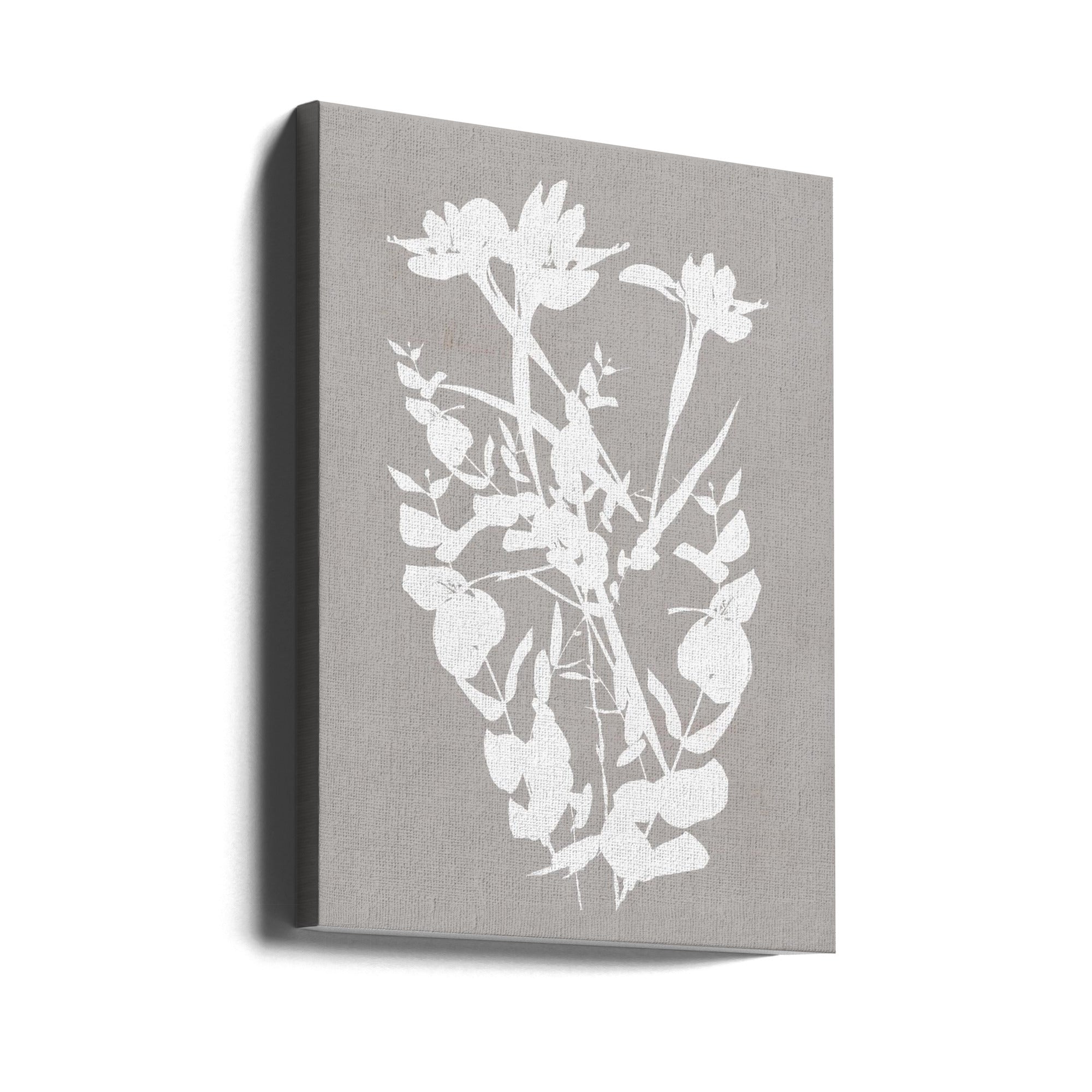 Wall art Botanical Illustration 1