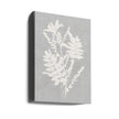 Wall art Botanical Illustration 5