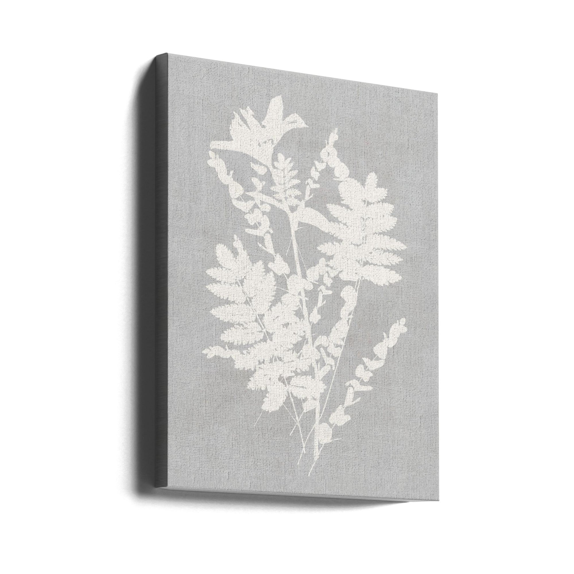 Wall art Botanical Illustration 5