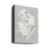 Wall art Botanical Illustration 5