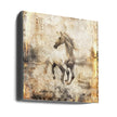 Horse Vintage Art Illustration 16