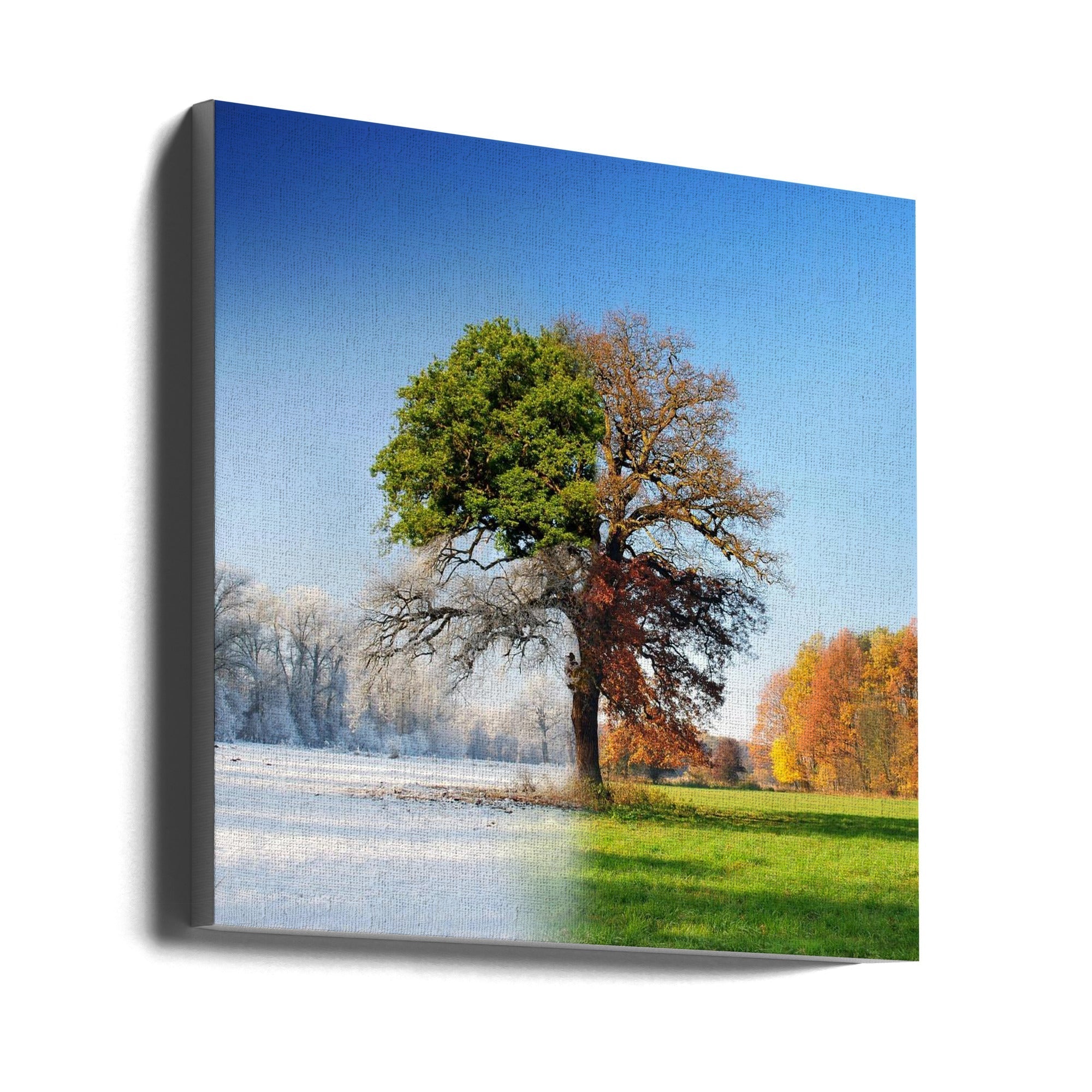 wall Art 4 seasons