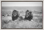 Wall art Two kings