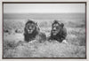 Wall art Two kings