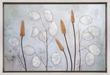 Lunaria