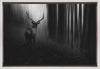 Art mural. Cerf.