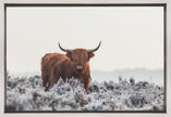 Wall Art Highlander