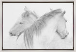 Horses
