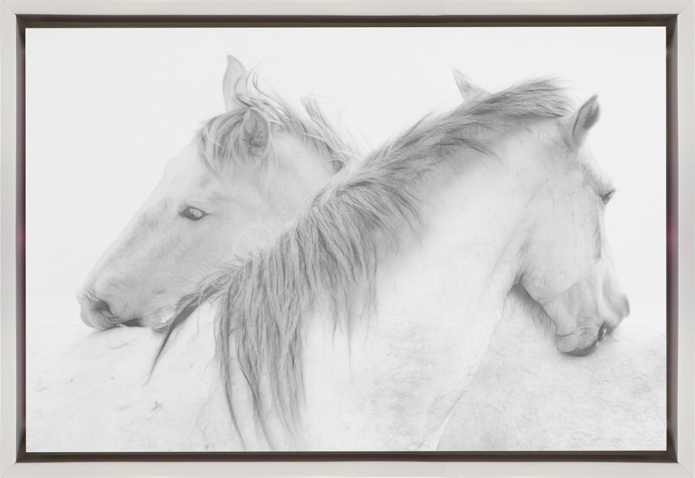 Horses