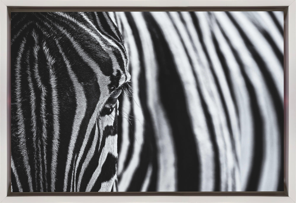 Art mural : Le regard de la nature