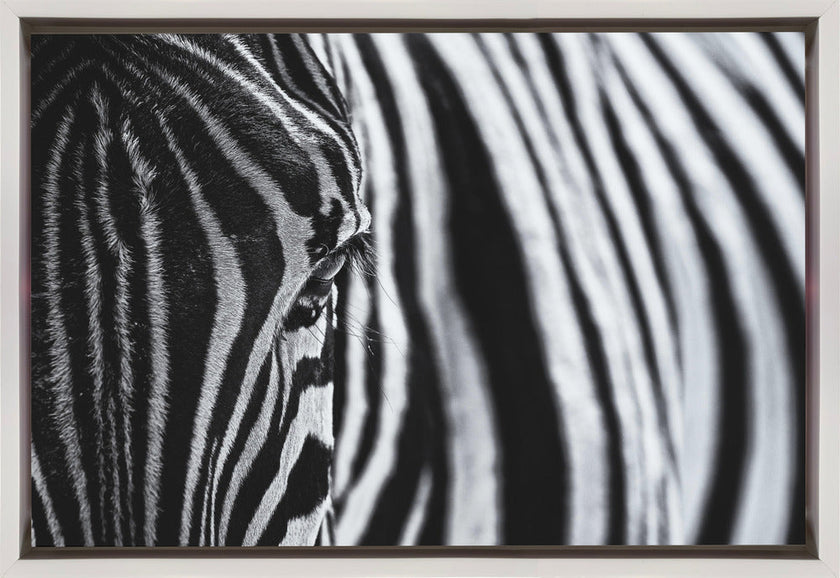 Art mural : Le regard de la nature