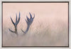Wall art   Hide & Seek ( Horn of Stag)