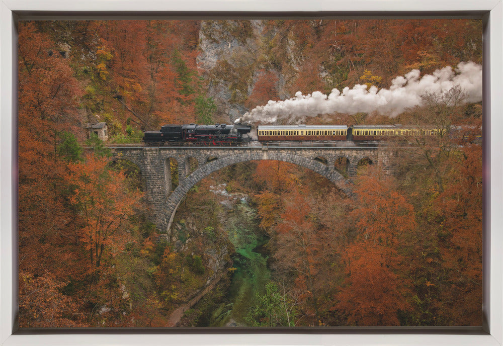 Musée de l'art mural du train