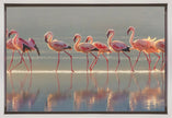 Wall art Flamingo Landscape