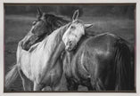 Wall art Warm rain Horses Canvas Print