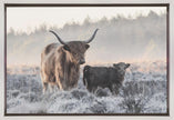 Wall art Highlander and Calf