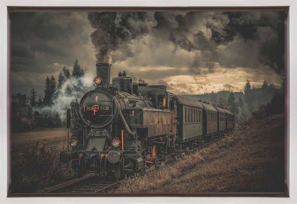 Wall Art Train de l'or (Gold digger train)