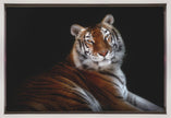 Wall art Serenity