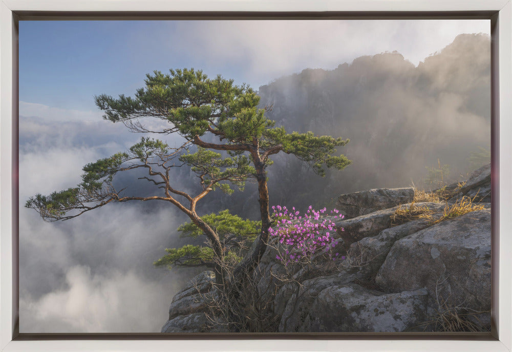 Impression sur toile 