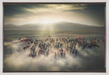 Wild Horses