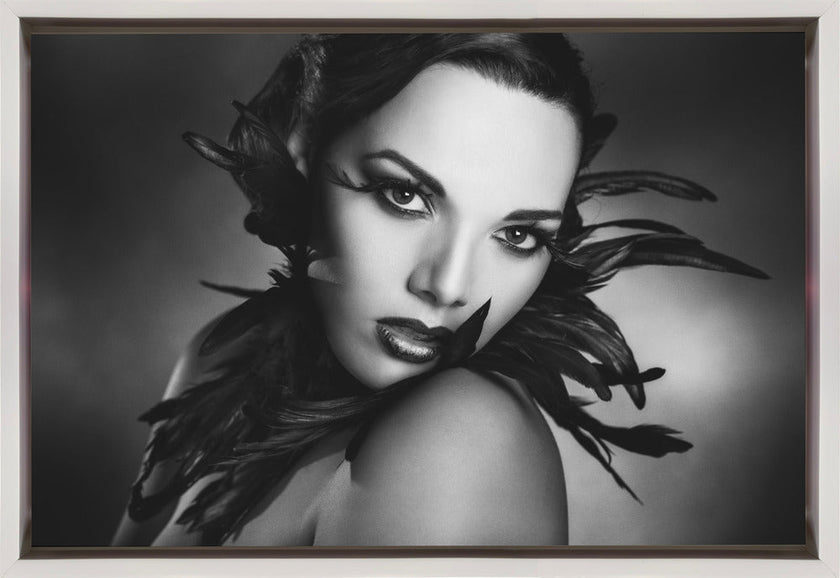 Wall art The black feathers