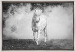 Wall art Icelandic pony