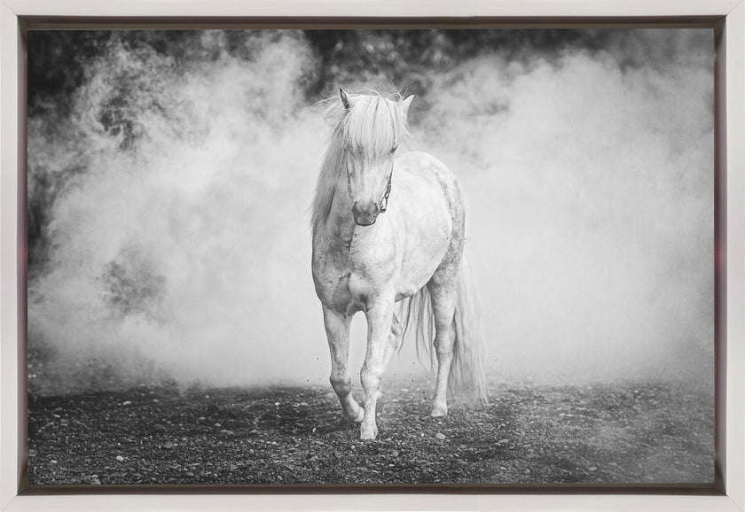Wall art Icelandic pony