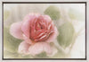Wall Art smooth rose