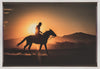 Wall art Horse