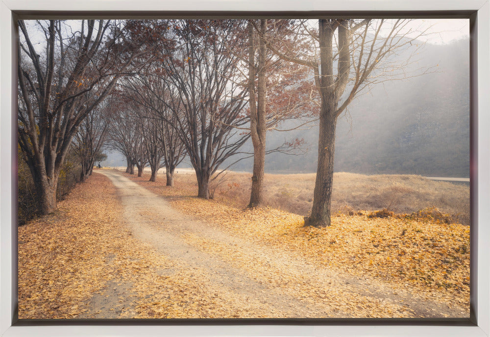 Art mural : En plein automne