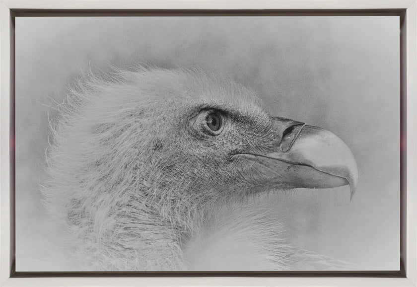 Wall art Bald eagle