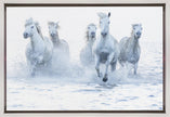 Wall Art Horses on the Run