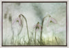 Wall Art Trio 2