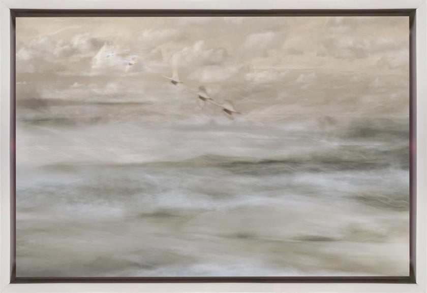 Wall art Swans over sea