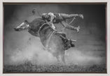 Wall Art Keeping Balance