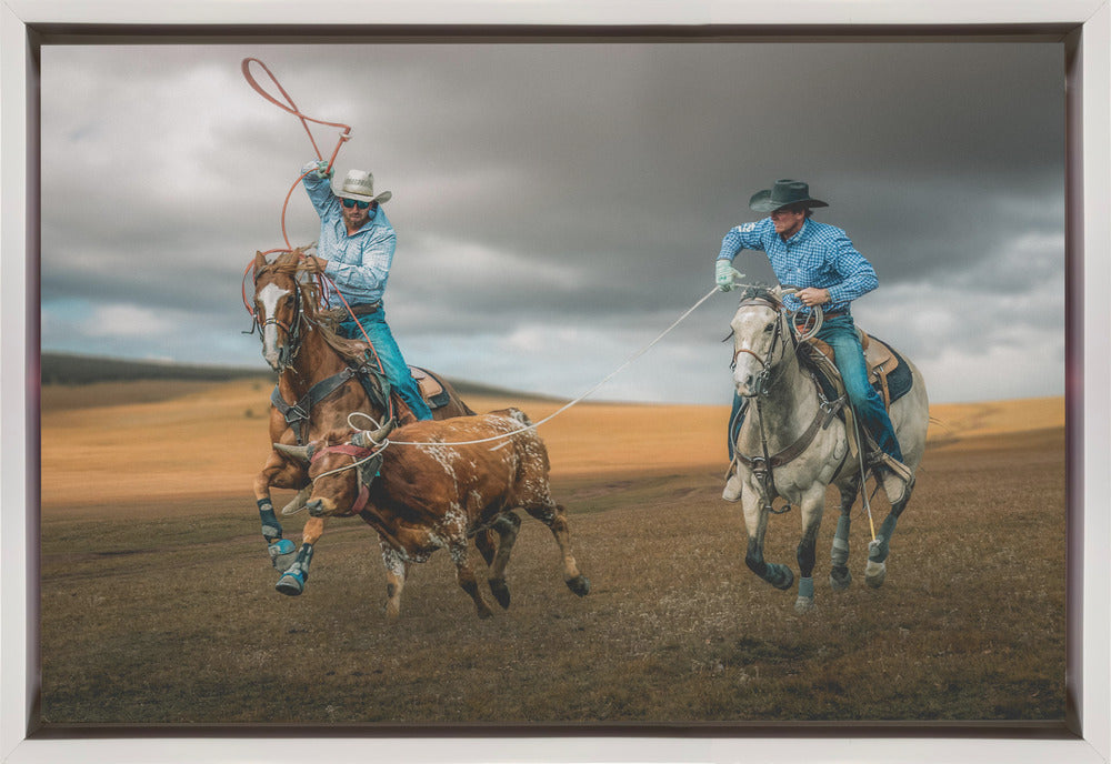 Team Roping (ou lasso de groupe)