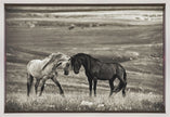 Wall art close encounter