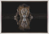 Art mural : Un lion dans la nuit