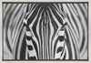 Wall art Zepra