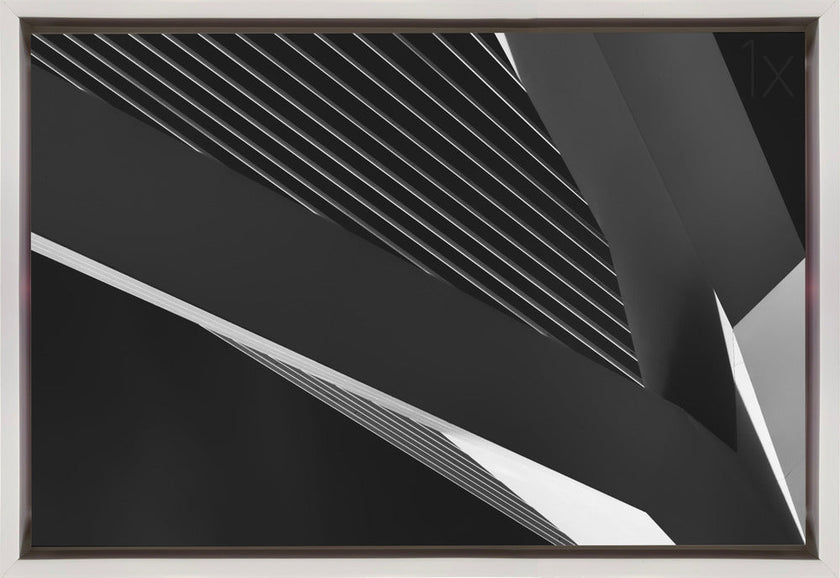Wall art Abstraction of a swan