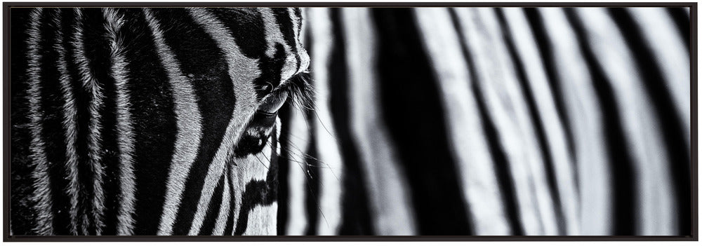 Art mural : Le regard de la nature