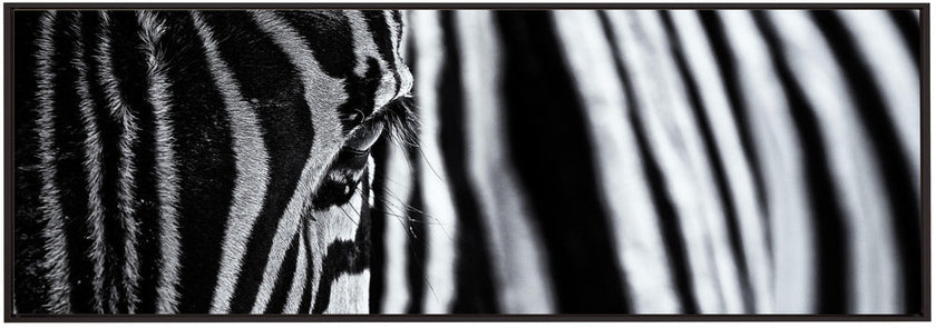 Art mural : Le regard de la nature