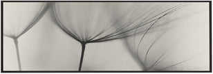 Wall art Tragopogon